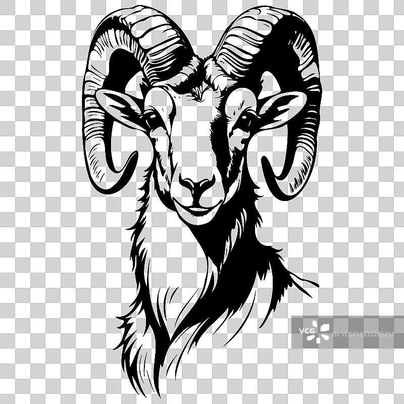 大角羊肖像画黑色剪影图片素材