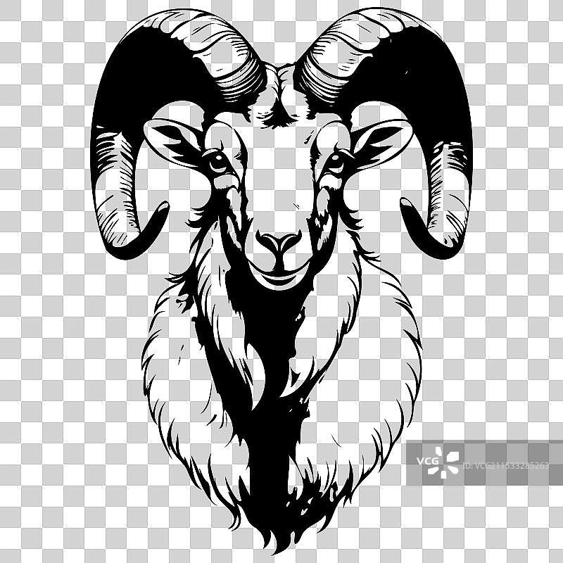 大角羊肖像素描 逼真的动物图片素材