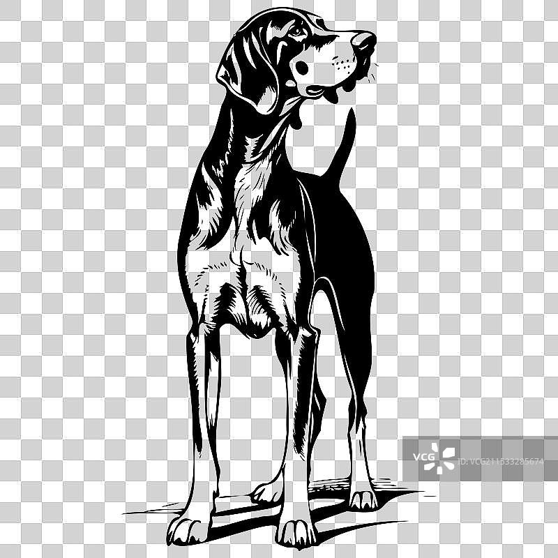 黑色和棕色的浣熊猎犬单色轮廓图片素材