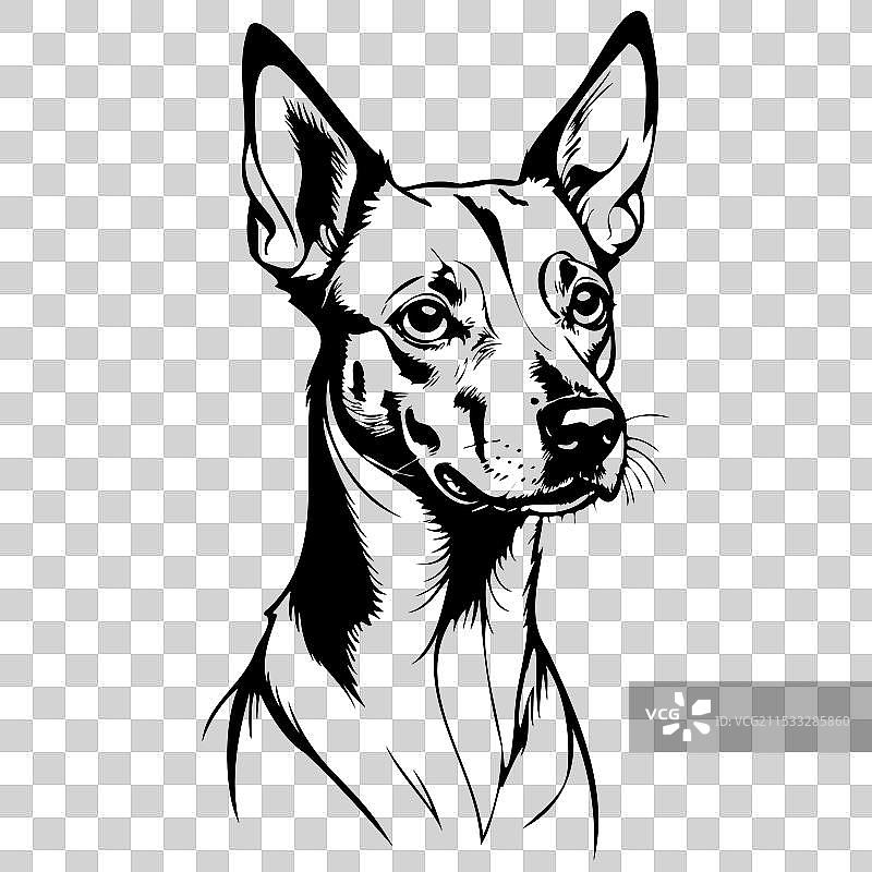 黑色巴森吉犬肖像画，复古动物风格图片素材