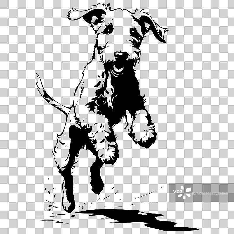 复古风格的黑色贝尔廷犬跳跃插图图片素材