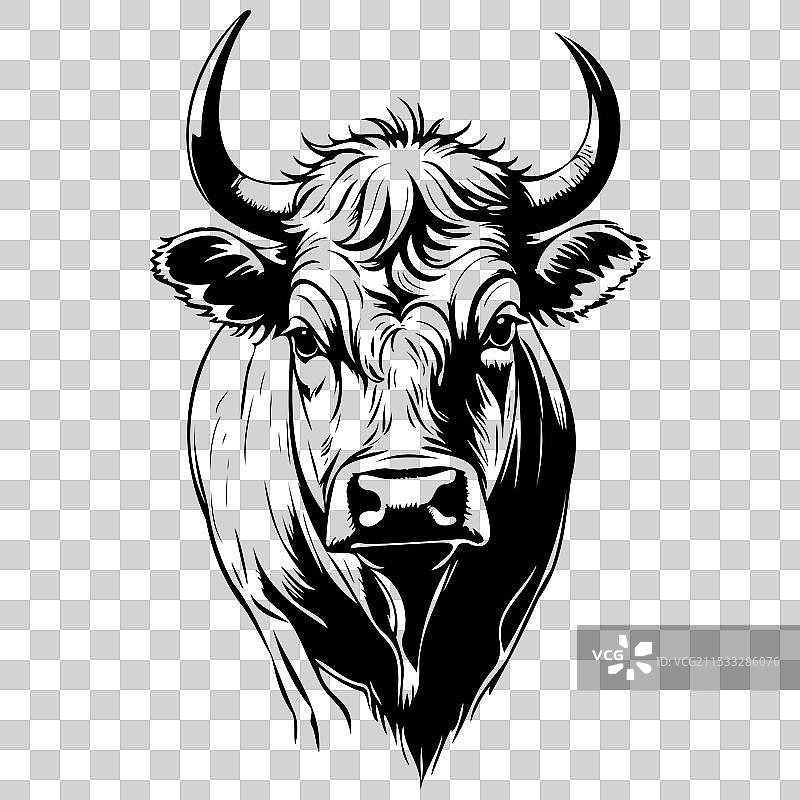 黑色牛杂肖像画 复古动物图片素材