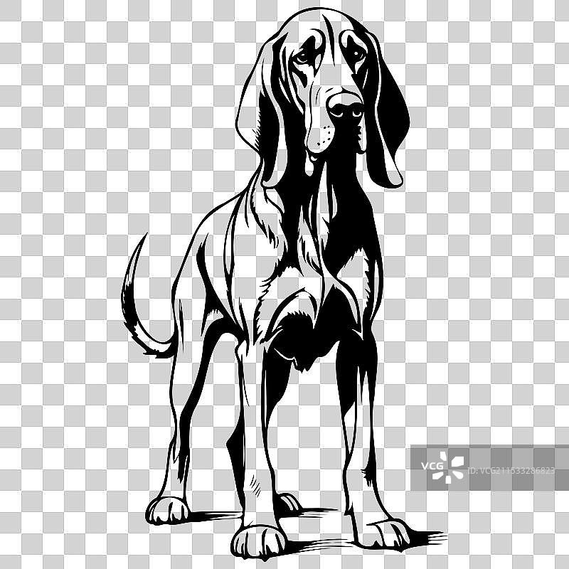 血猎犬 手绘动物 透明背景图片素材