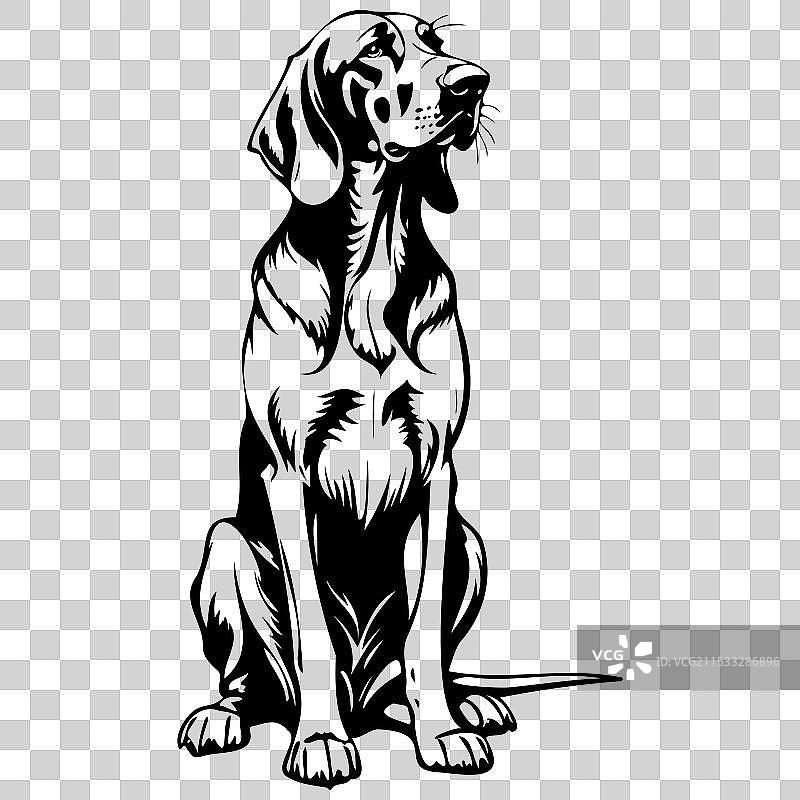 血猎犬坐姿单色轮廓画图片素材