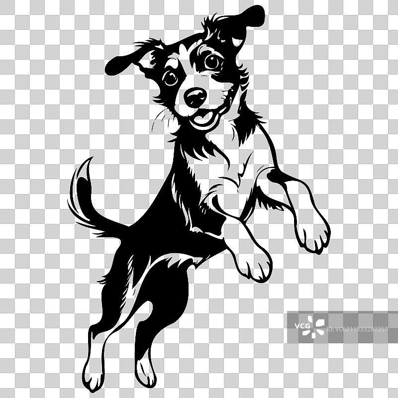 博根梗跳跃的手绘动物图像图片素材