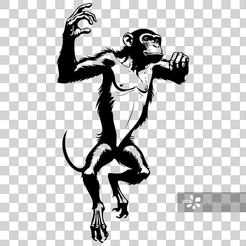 倭黑猩猩跳跃的手绘动物剪影图片素材