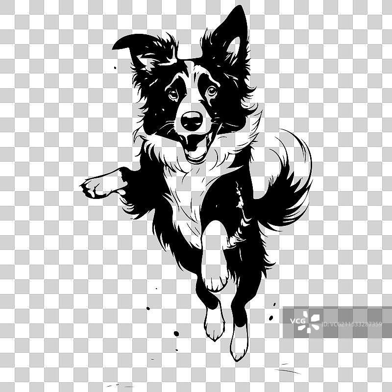 边境牧羊犬跳跃的复古动物插图图片素材