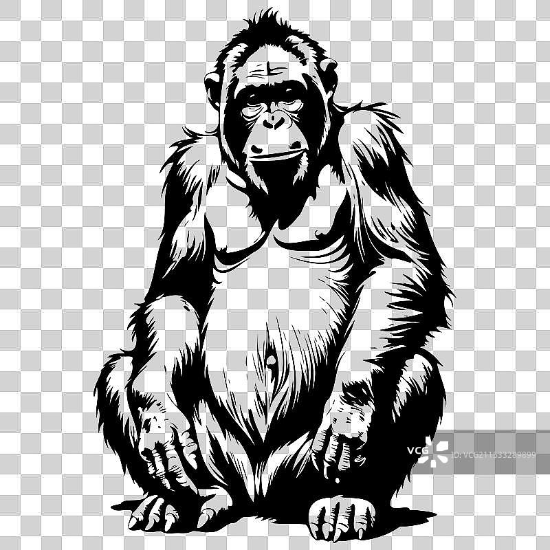 坐着的婆罗洲猩猩 手绘动物图片素材