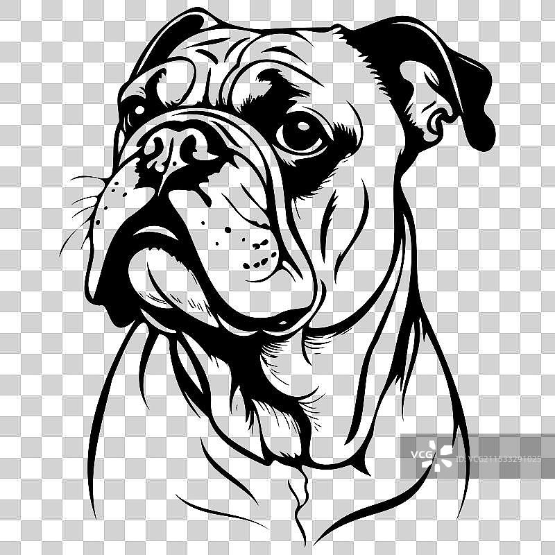手绘动物的斗牛犬肖像剪影图片素材