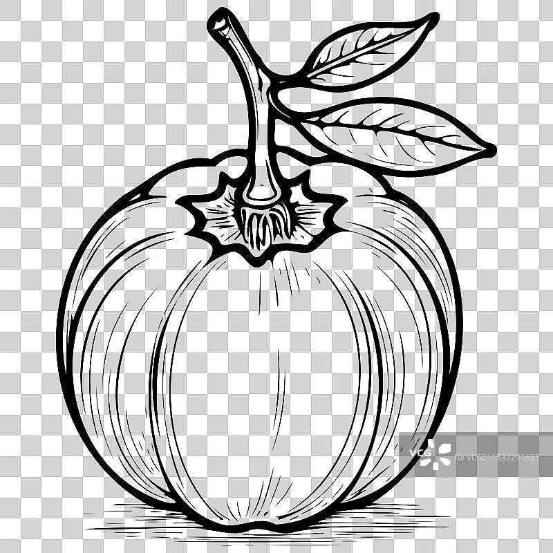 福州柿子的雕刻画图片素材