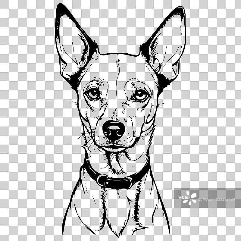 巴森吉犬肖像的真实墨水画图片素材