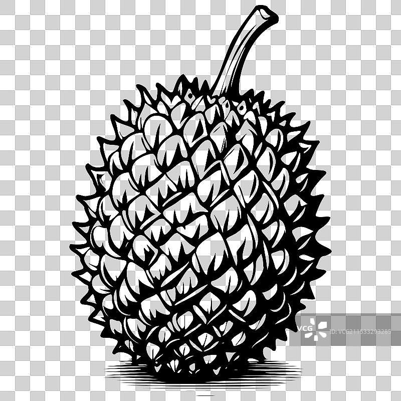 雕刻榴莲图案，黑色水果，孤立水果图片素材