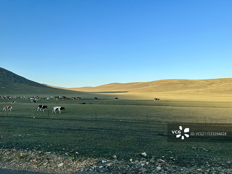 呼伦贝尔额尔古纳市乌兰山景区图片素材