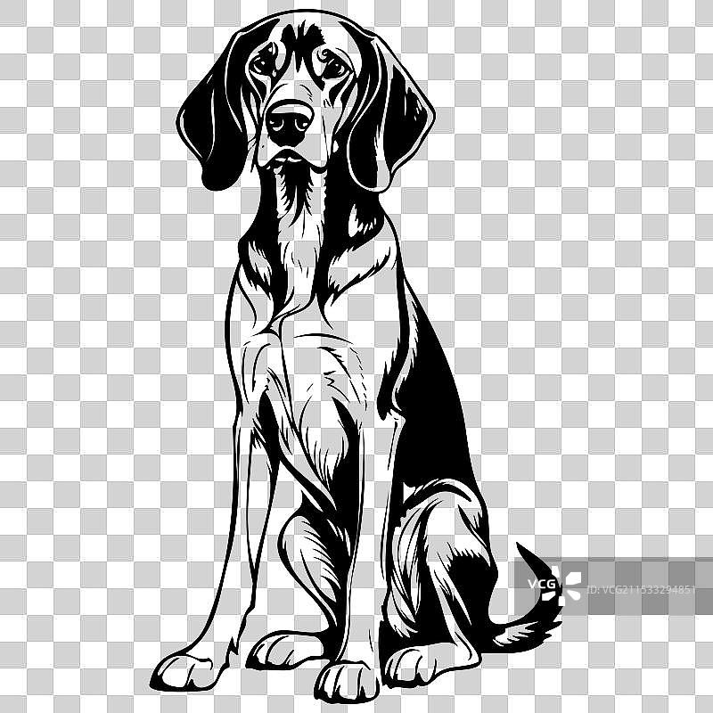 墨黑色和棕色的浣熊猎犬坐着，手工雕刻图片素材