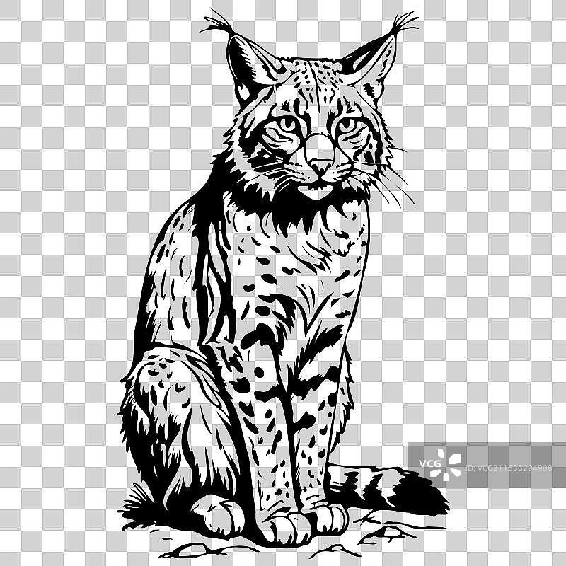 手绘动物的墨水山猫坐姿雕刻图片素材
