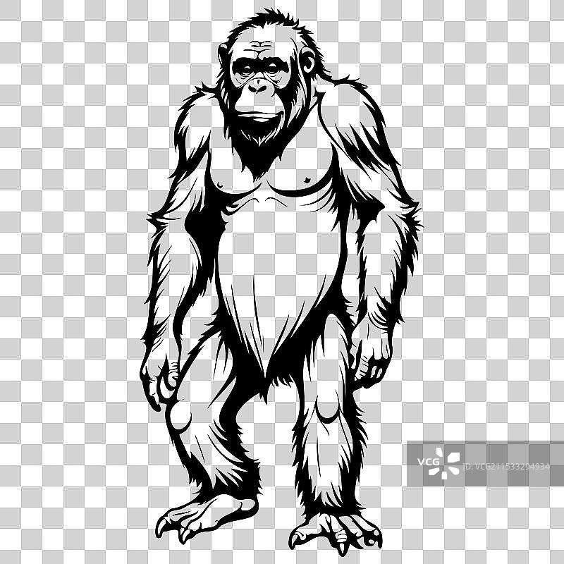 手绘的印尼婆罗洲猩猩雕刻动物图片素材