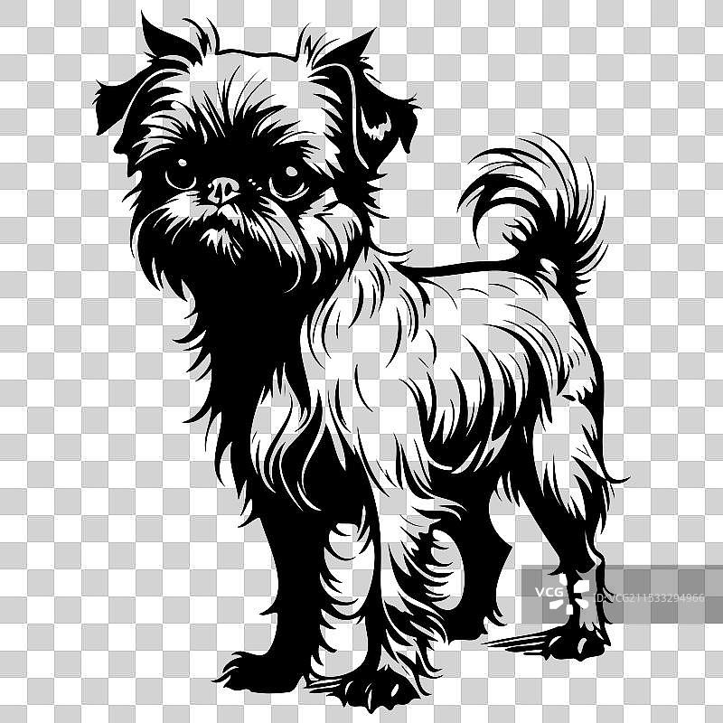 手绘动物布鲁塞尔格里芬犬雕刻图案图片素材