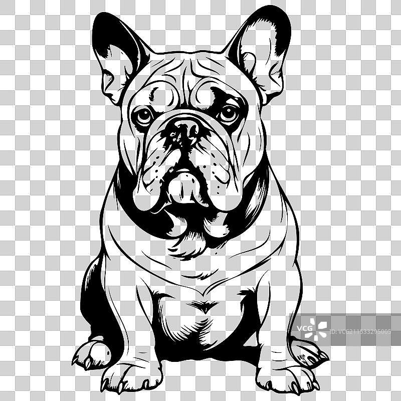 手绘动物的墨水斗牛犬肖像雕刻图片素材