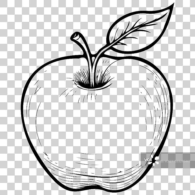 手绘的扎贝尔盖雷内特苹果水果图片素材