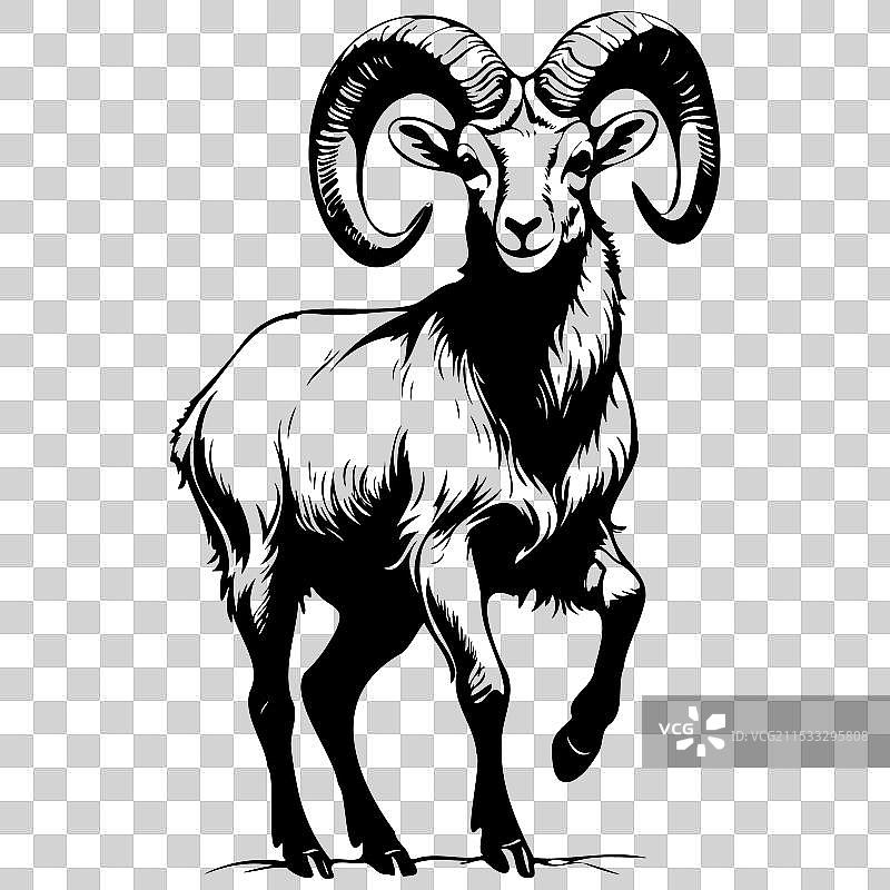 孤立的公羊跳跃，黑色手绘风格图片素材