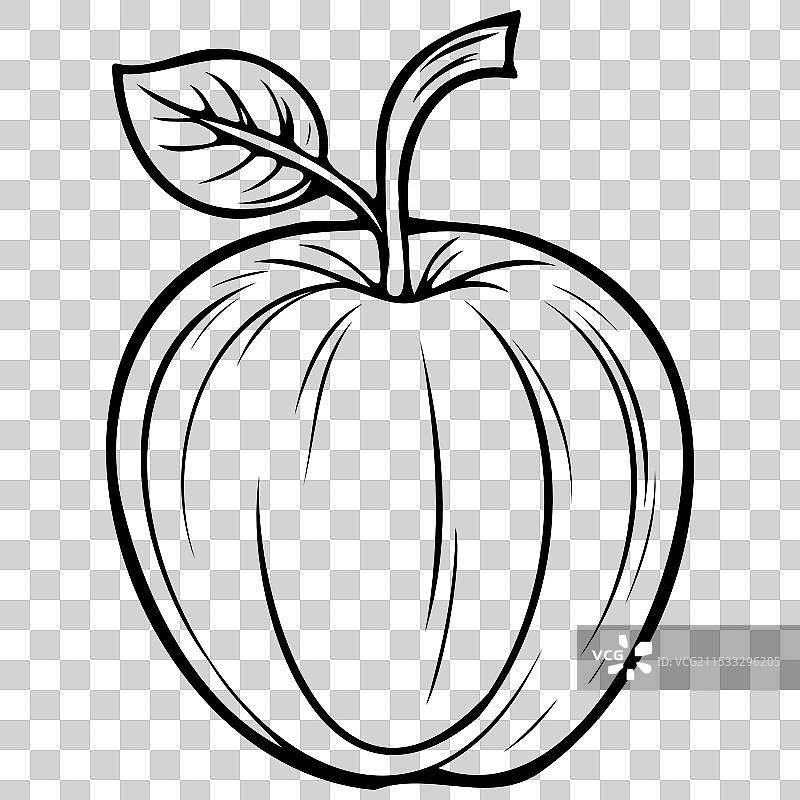 孤立的约克帝国苹果手绘水果图片素材