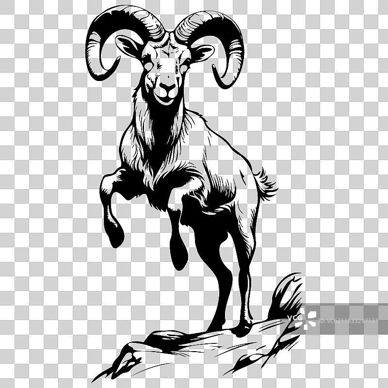 单色大角羊跳跃的真实墨水画图片素材