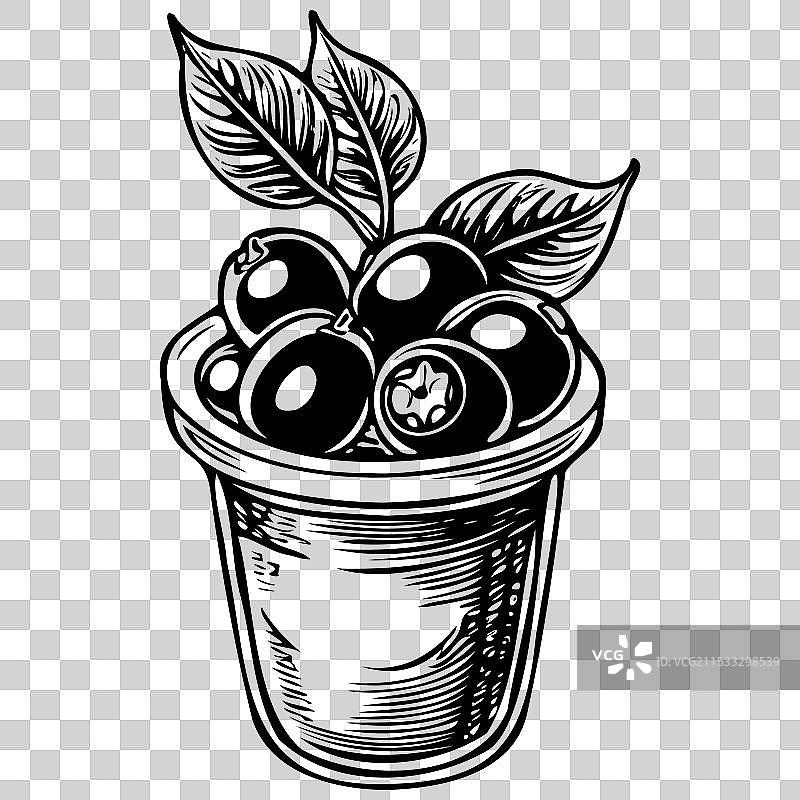 逼真的手绘巴西莓水果透明图像图片素材