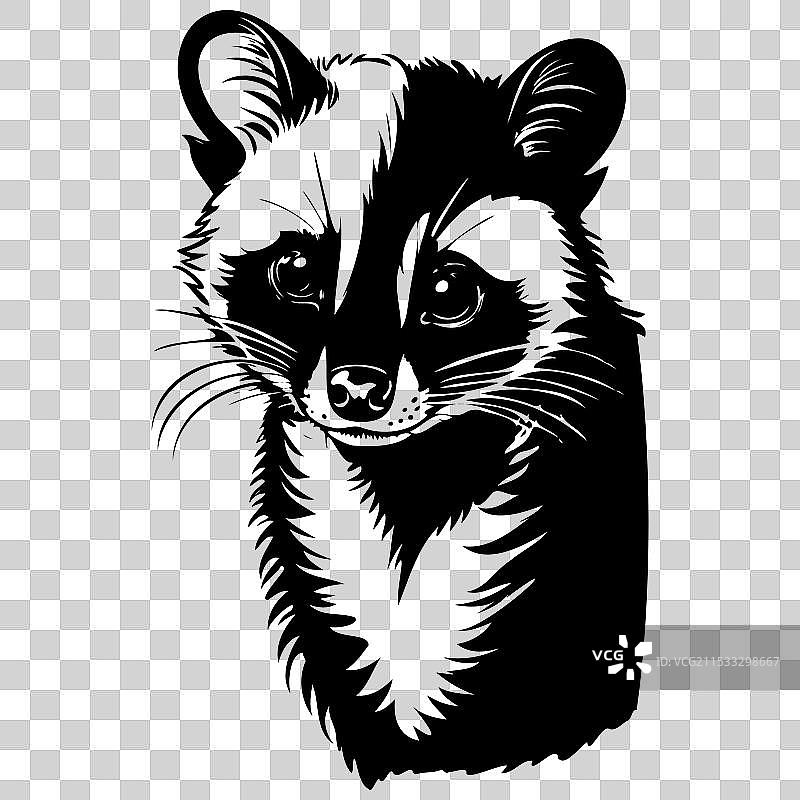 手绘的真实条纹棕榈猫肖像图片素材