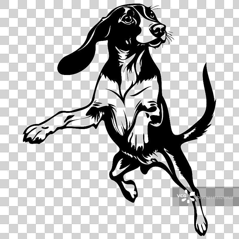 黑色和棕色的猎犬跳跃的剪影图片素材