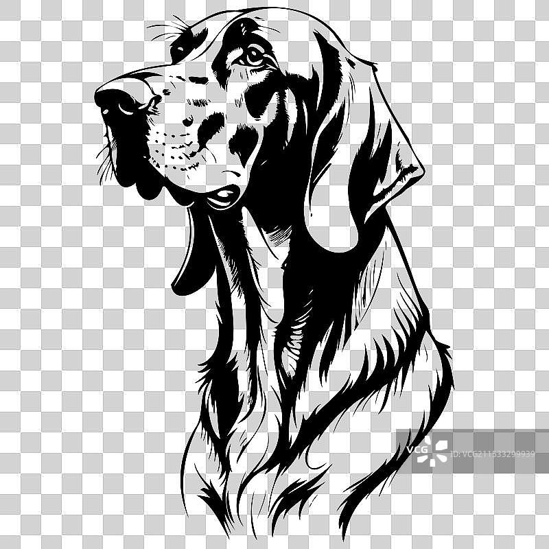 血猎犬的轮廓肖像雕刻图片素材