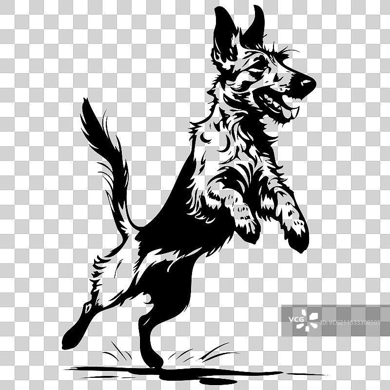 单色轮廓的贝尔热皮卡犬跳跃素描图片素材