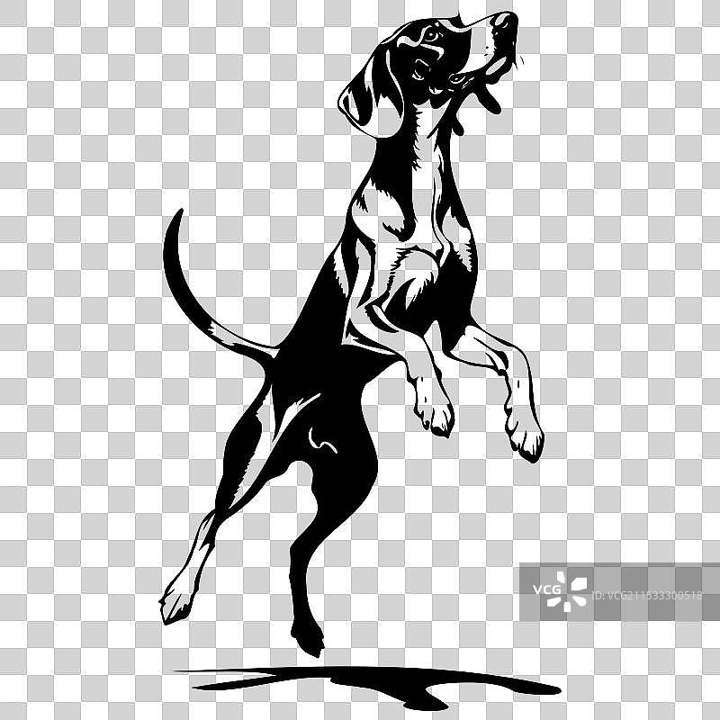 手绘的黑棕色浣熊猎犬跳跃素描图片素材