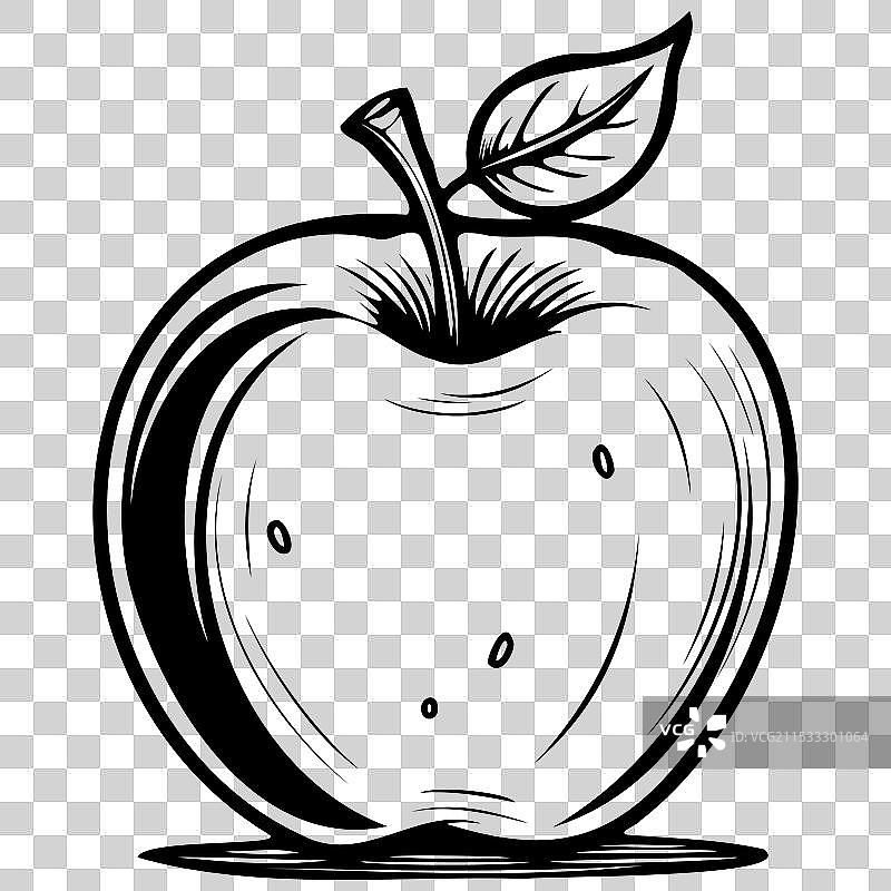 华丽的苹果，手绘水果图片素材