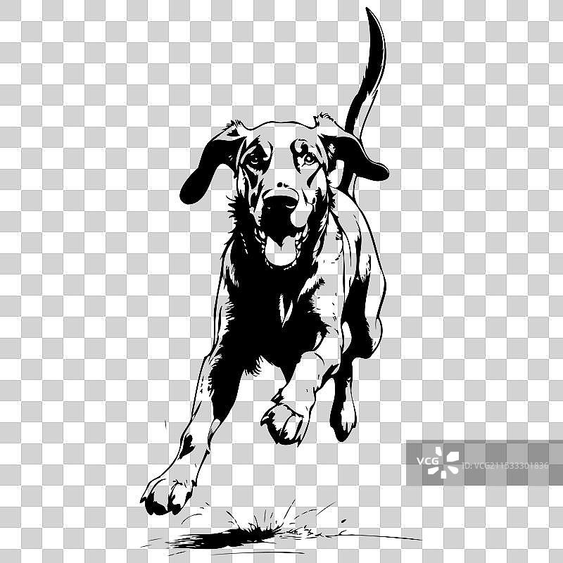 血猎犬跳跃的逼真轮廓图图片素材