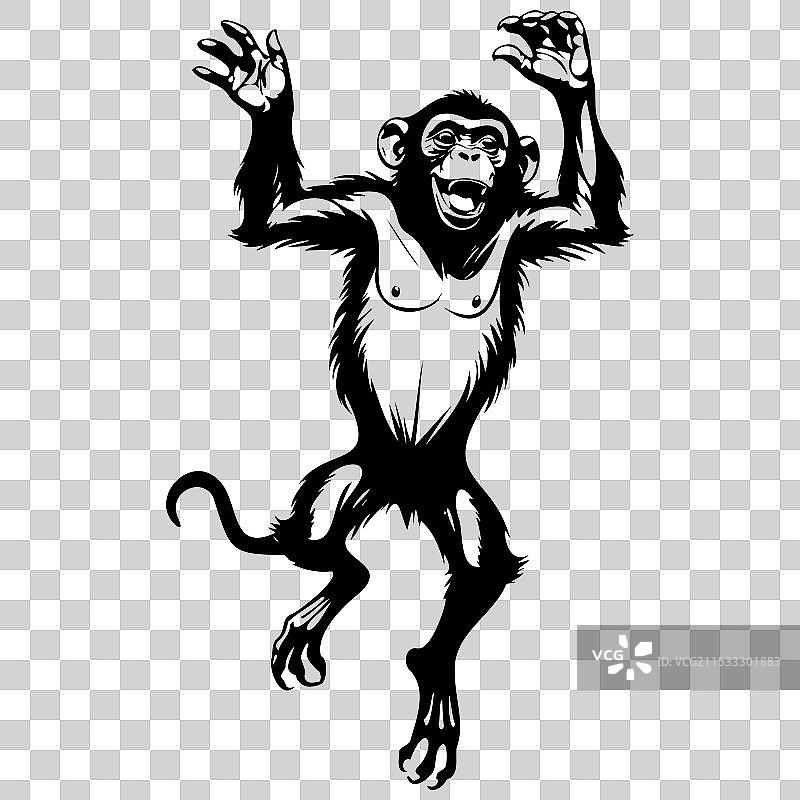 逼真的猩猩跳跃动物轮廓图图片素材