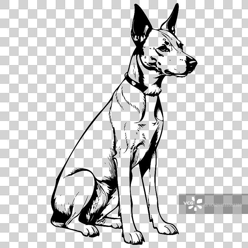 复古的巴森吉犬坐着的写实画作图片素材