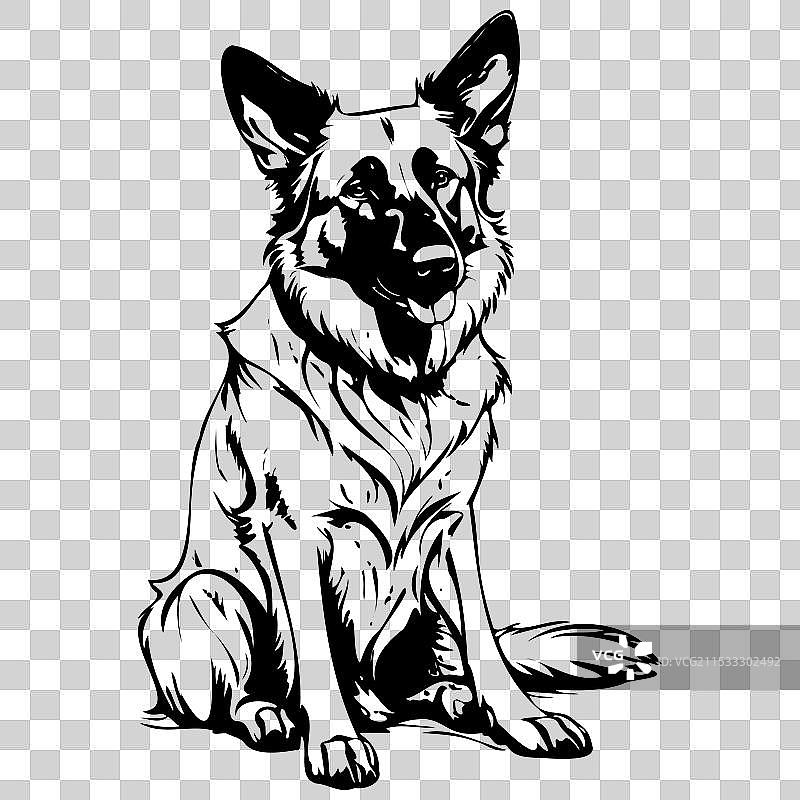 复古比利时牧羊犬坐姿素描图片素材