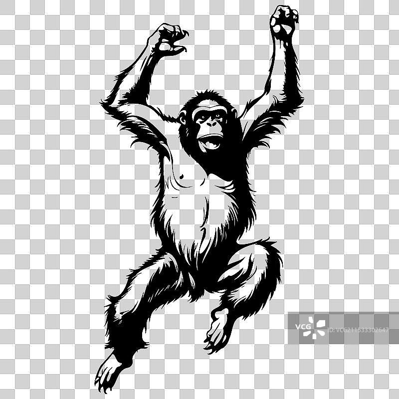 复古的婆罗洲猩猩跳跃手绘动物图片素材