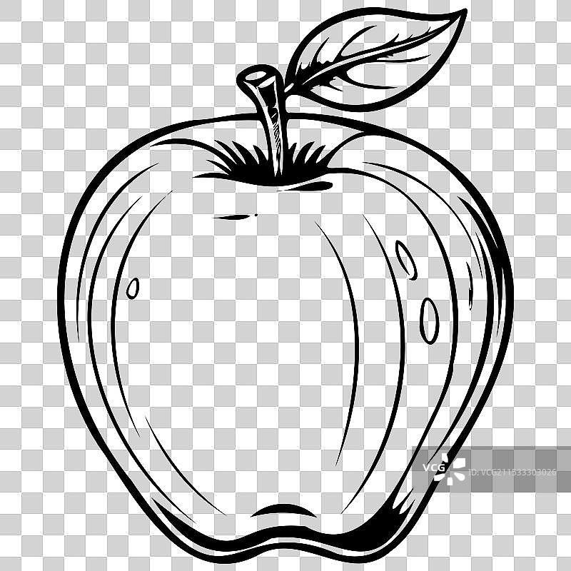 复古的黄玉苹果手绘图图片素材