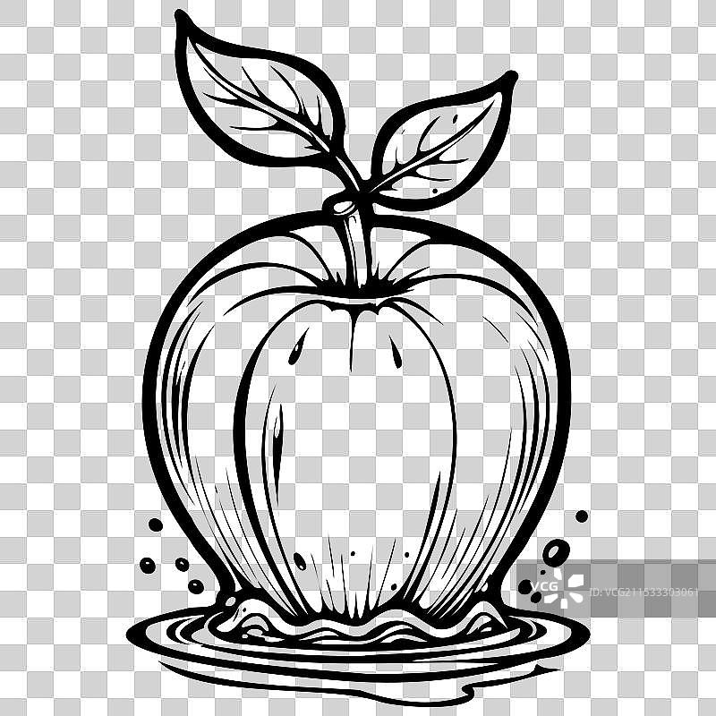 水苹果手绘雕刻透明水果图片素材