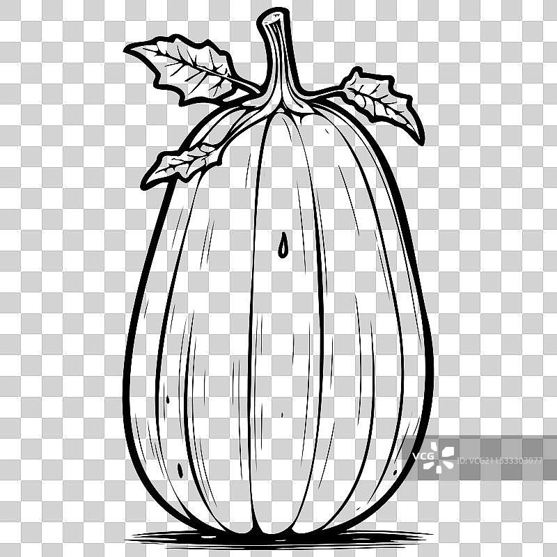 冬瓜复古手绘水果透明图像图片素材