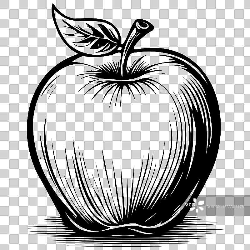 约克帝国苹果手绘水果透明图像图片素材