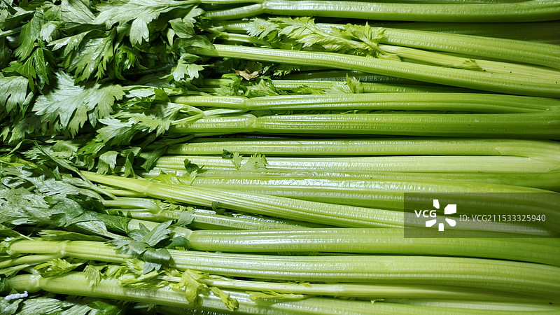 芹菜图片素材