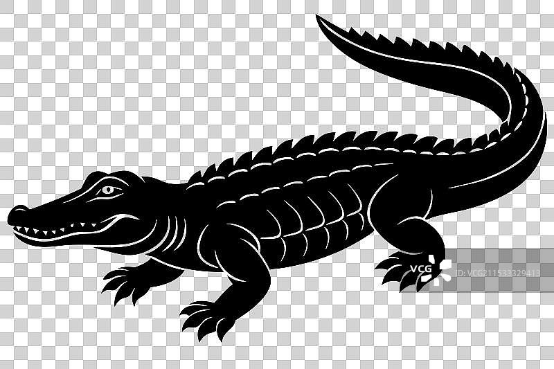 鳄鱼剪影图片素材