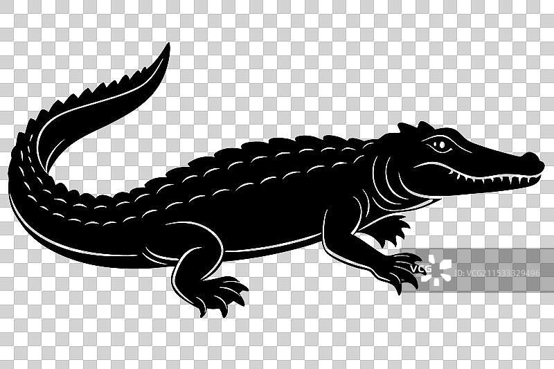 鳄鱼剪影图片素材