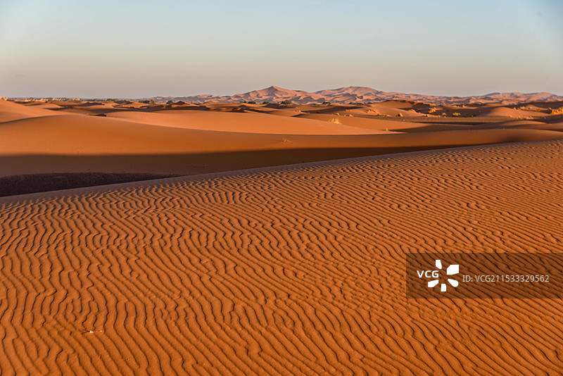 广袤的撒哈拉沙漠荒无人烟，只有风在沙丘上留下痕迹图片素材