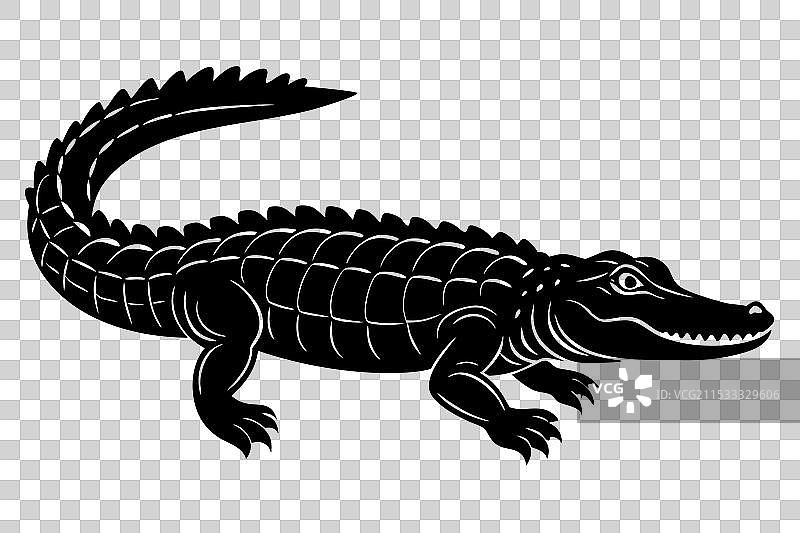 鳄鱼剪影图片素材