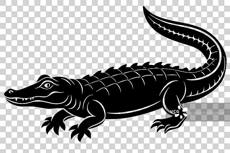 鳄鱼剪影图片素材