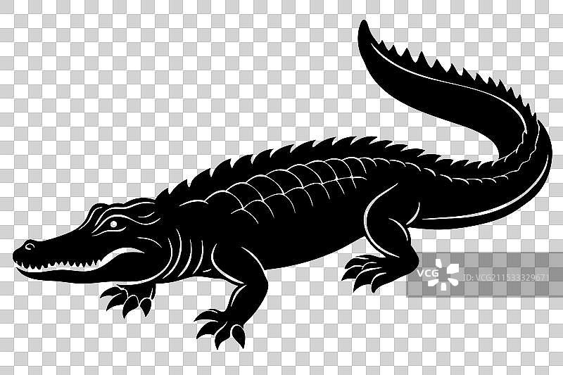 鳄鱼剪影图片素材