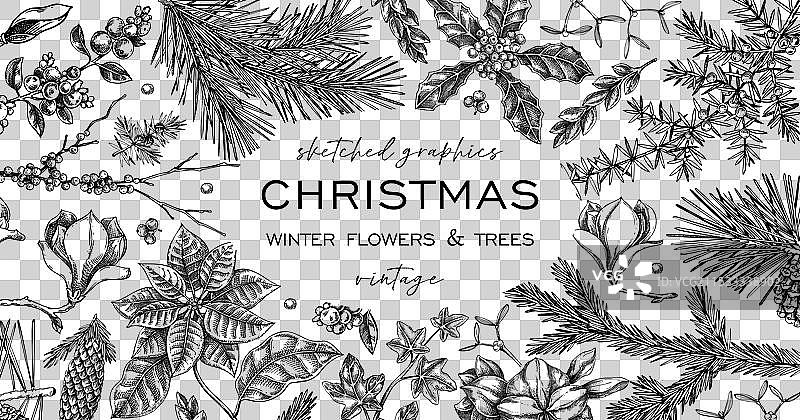 圣诞框架设计与冬季花卉背景图片素材